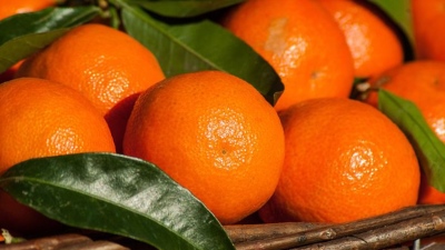 關(guān)于枳實(shí)提取物，你了解嗎？