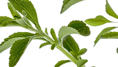 零卡、甜而無(wú)糖的享受——甜葉菊提取物甜味劑