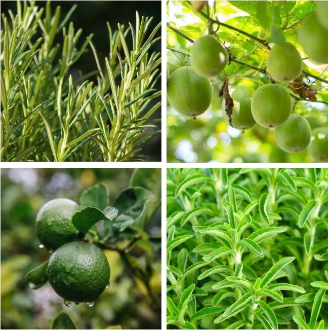 QQ截圖20220519141203