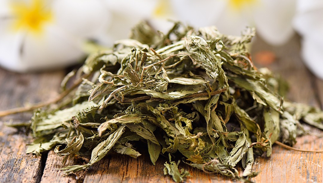 低熱量糖——甜葉菊提取物