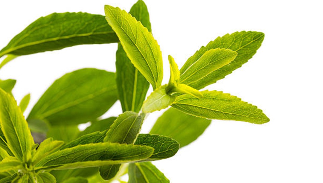 天然甜味劑甜葉菊提取物滿(mǎn)足了消費者的需求