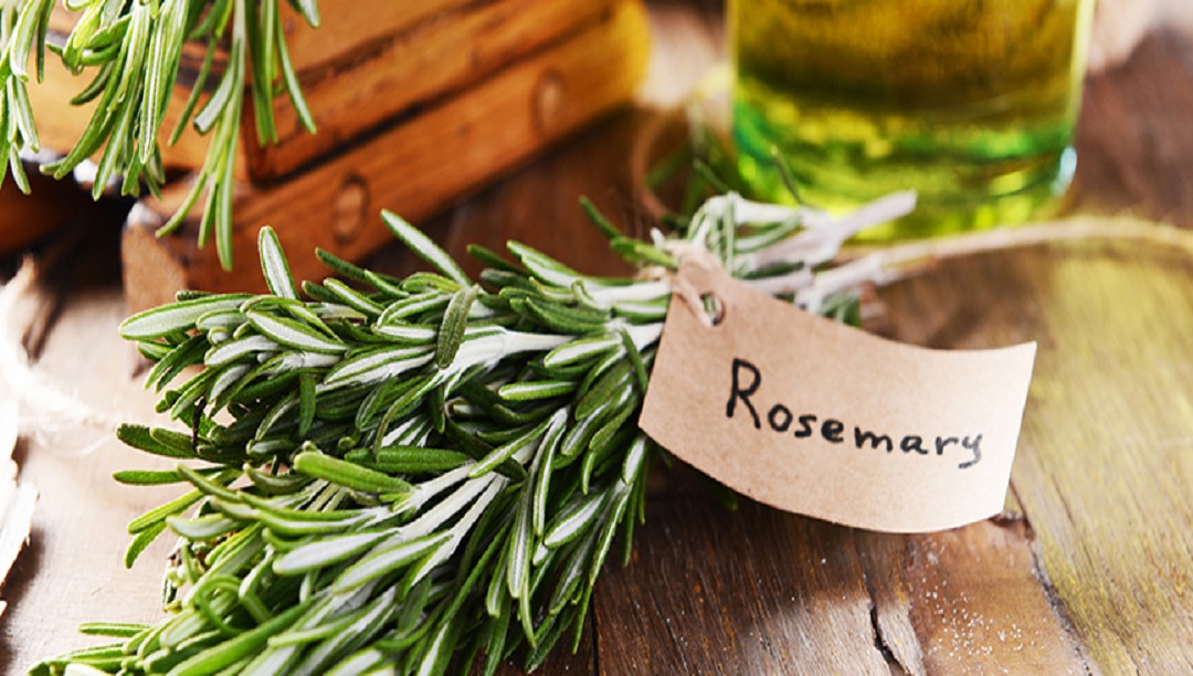 流傳千年的“海之朝露”