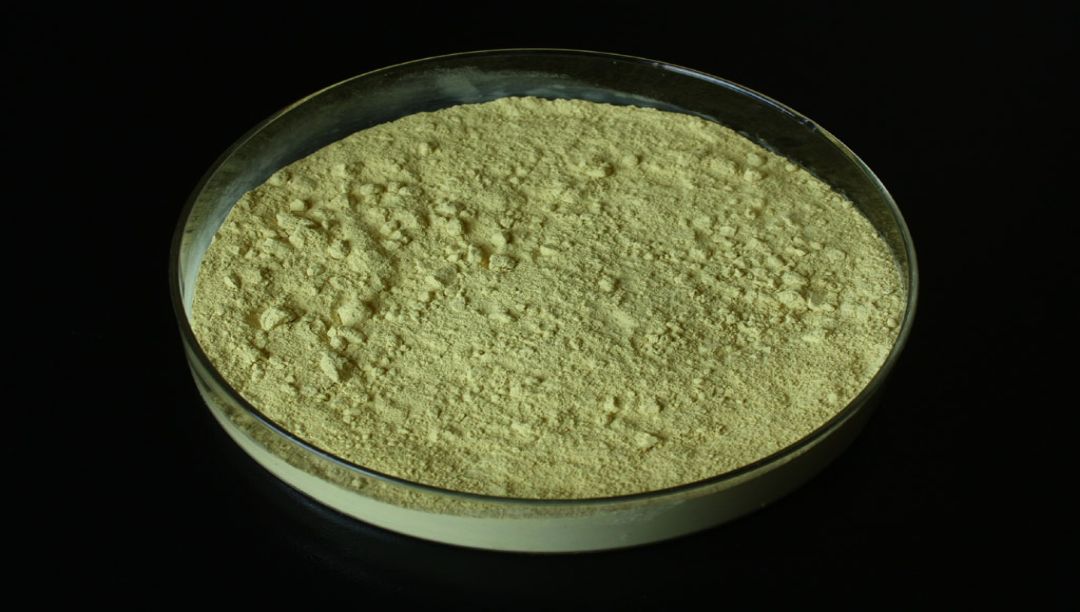 熊果酸的應用和發(fā)展