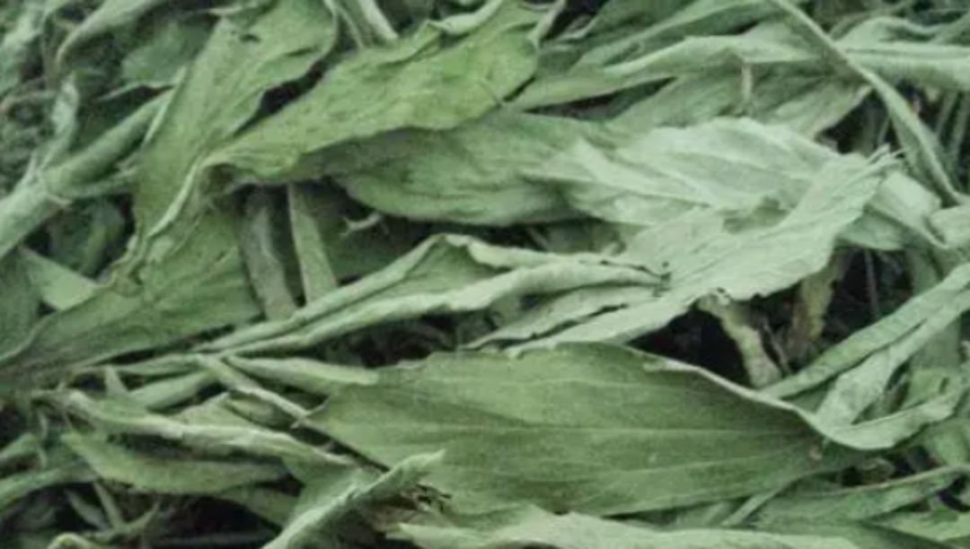 甜葉菊提取物：一種天然的甜味劑