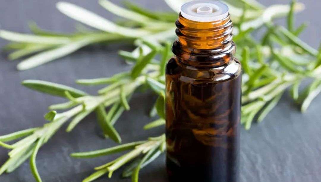 迷迭香精油：一種天然的香氣和護膚成分