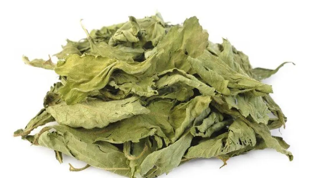 甜葉菊提取物：一種天然的甜味劑