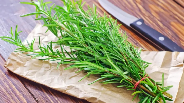 熊果酸的多種妙用！一種具有潛力的天然化合物