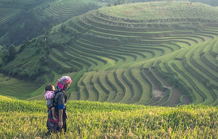 立冬了，用迷迭香提取物給你的身心一份溫暖