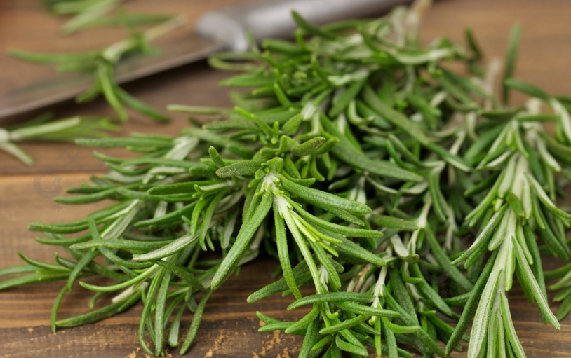 迷迭香酸，抗氧化作用的奧秘