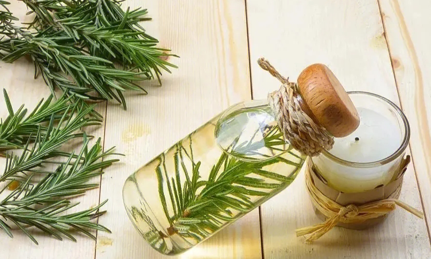 迷迭香精油的科學(xué)護發(fā)之謎