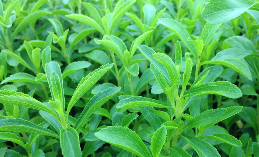 微信截圖_20231117102338