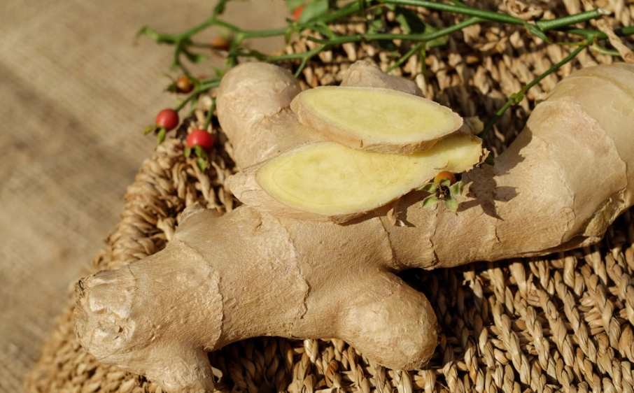 生姜提取物：舒緩腸道的天然成分