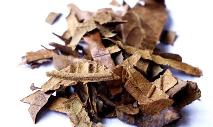 熊果酸：食品保鮮、色澤、口感三位一體的天然利器