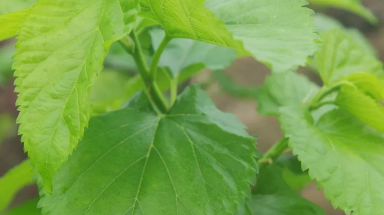 微信截圖_20231212100609 微信截圖_20231212100609